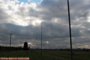 IMG_ (10901)